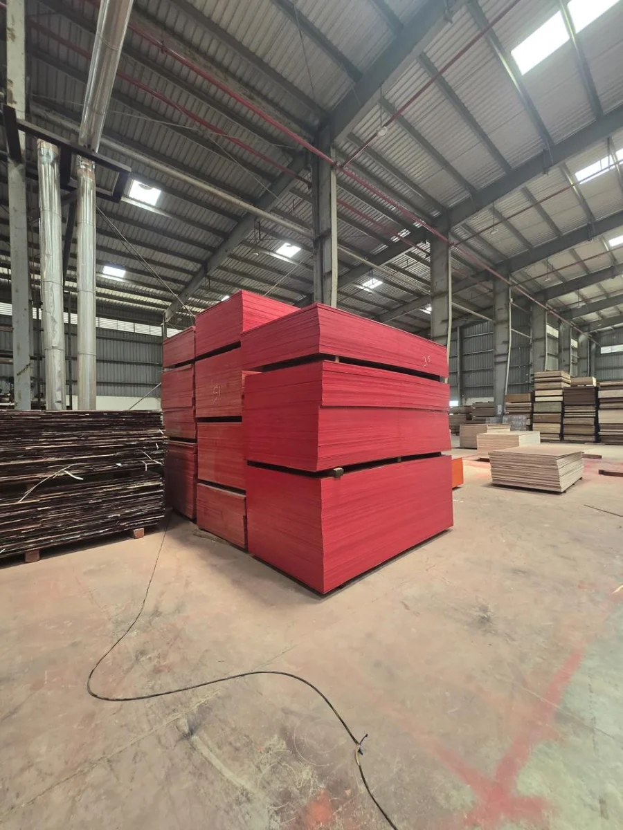 Inside the SLICE PLY plywood factory