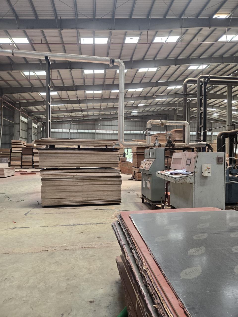 SLICE PLY factory — plywood press line